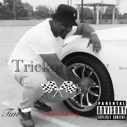 Cover of Trickonmetry