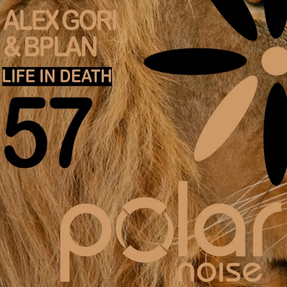 Picture of Life In Death