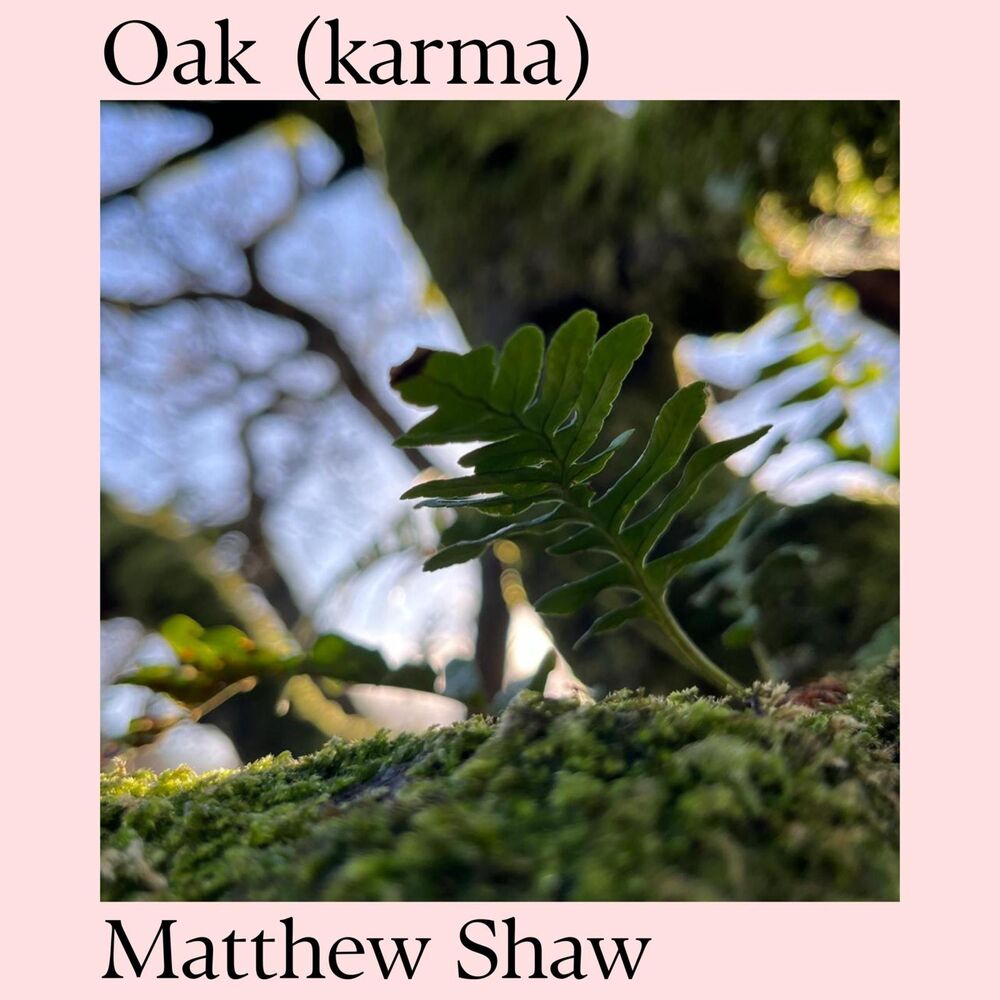 Picture of Oak (karma)