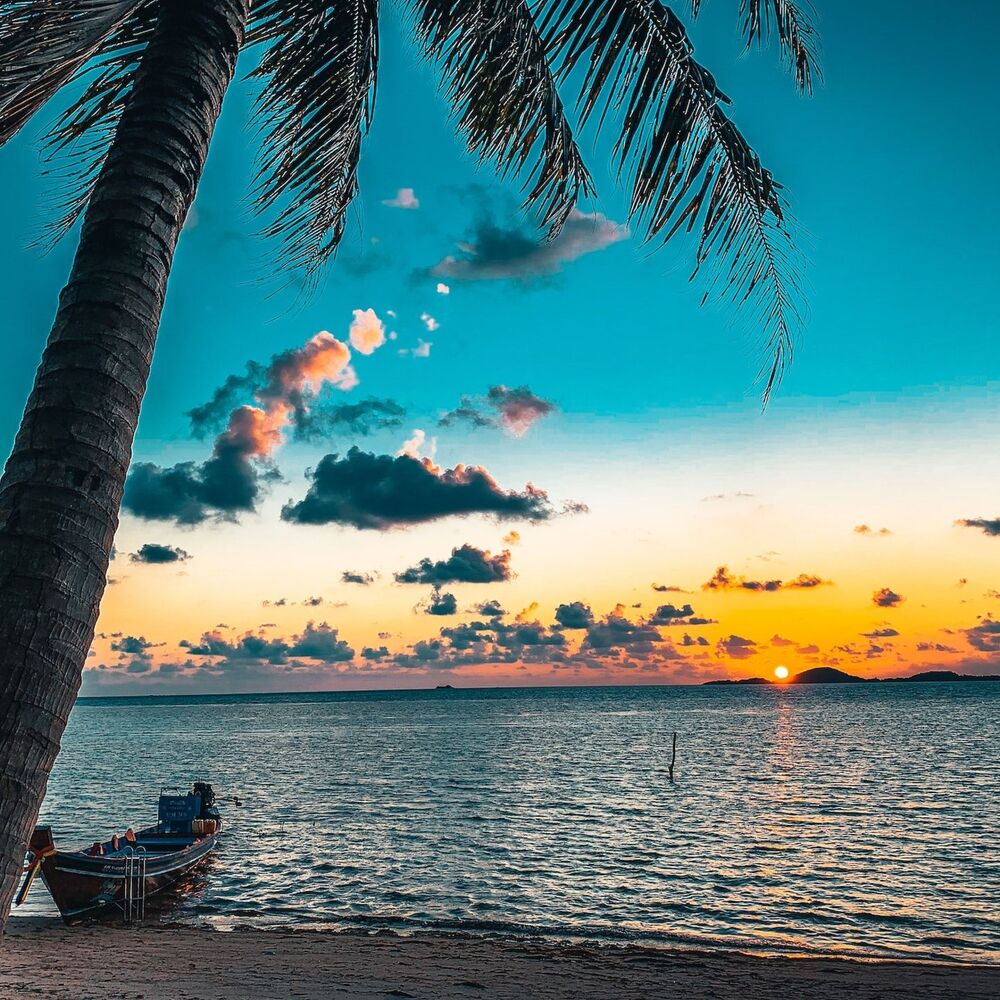 Picture of Finding Peace