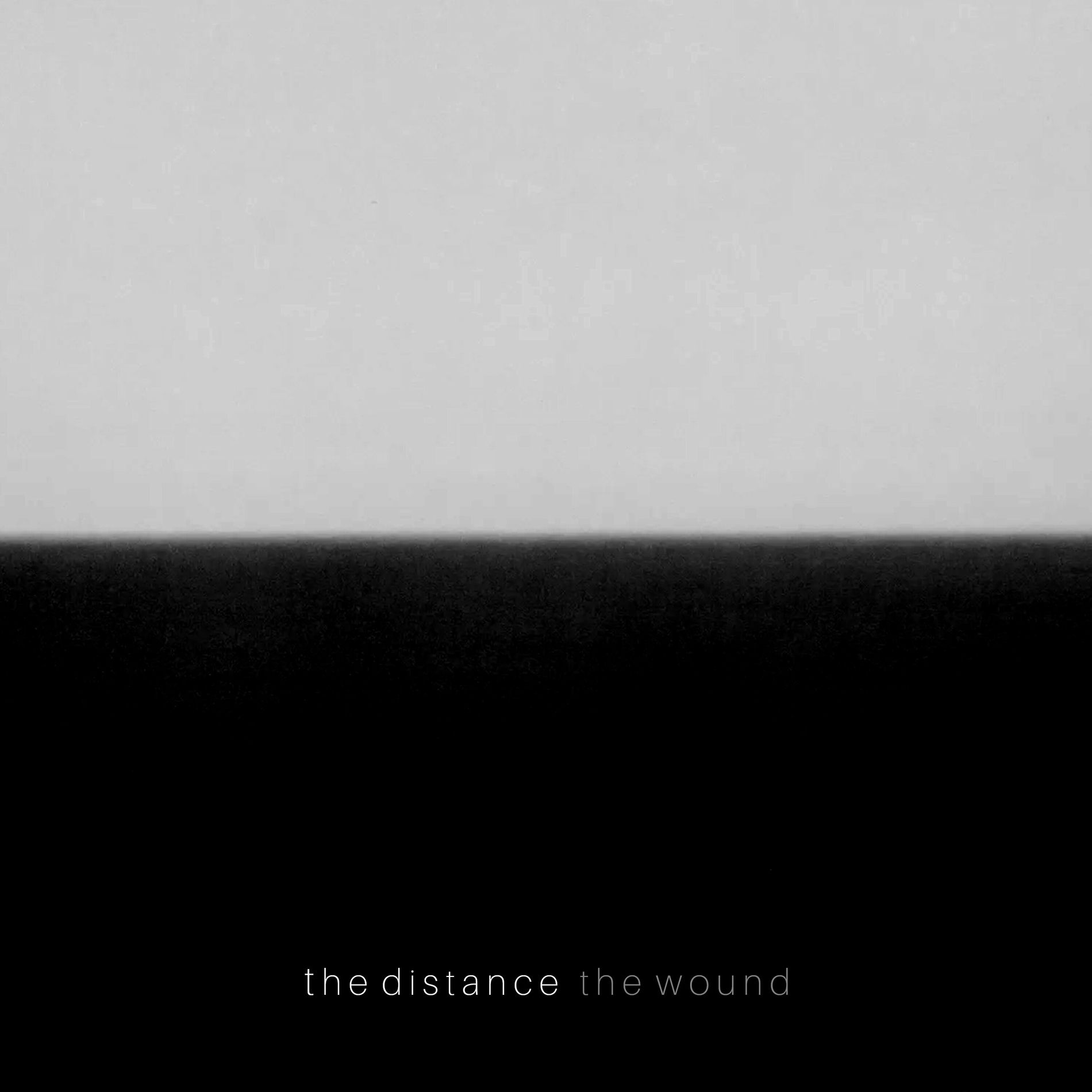 Album cover of The Wound