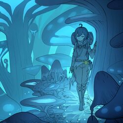 Cover of mushroom forest