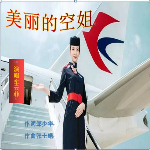 美丽的空姐