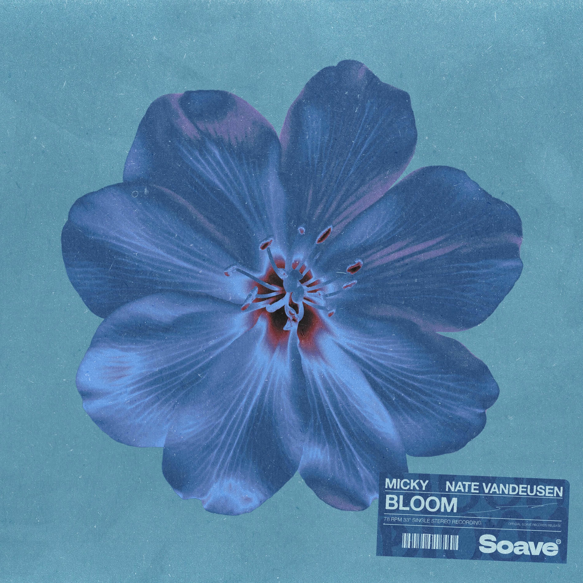 Album cover of Bloom