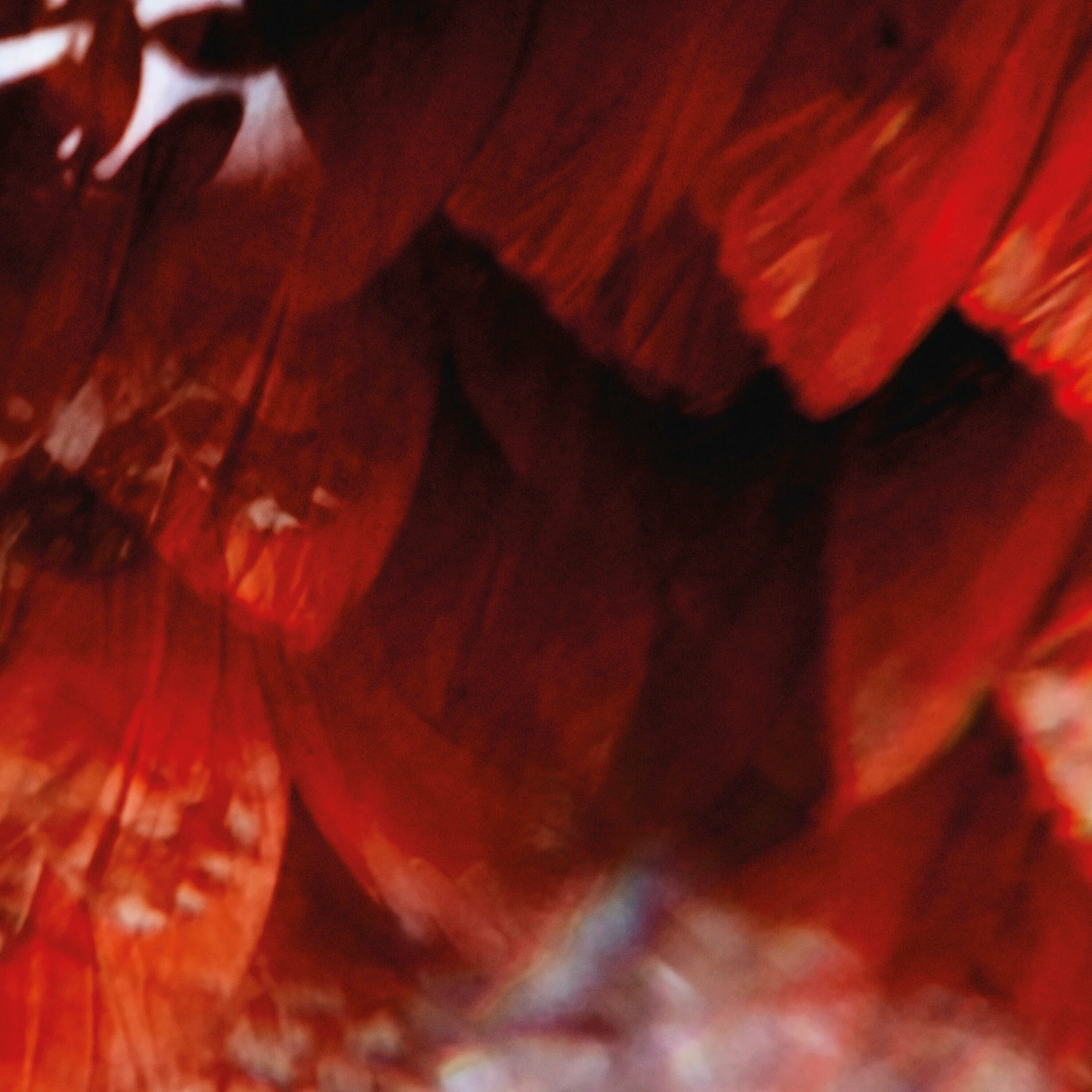 Album cover of Vida-Código