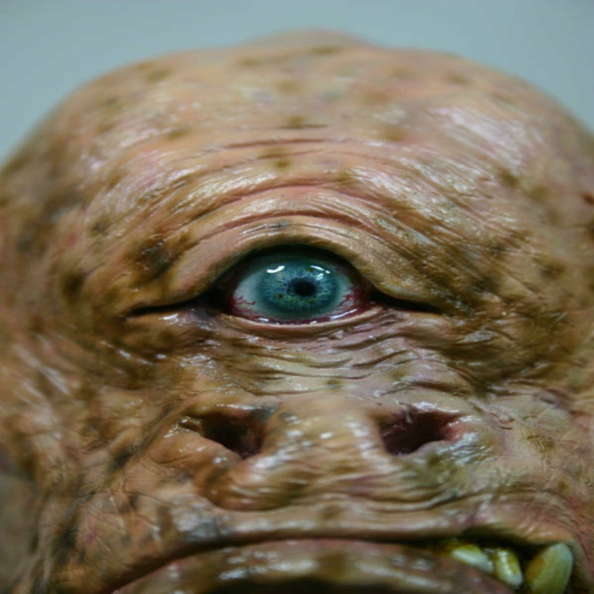Album cover of cyclops
