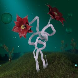 Cover of Hurricane EP
