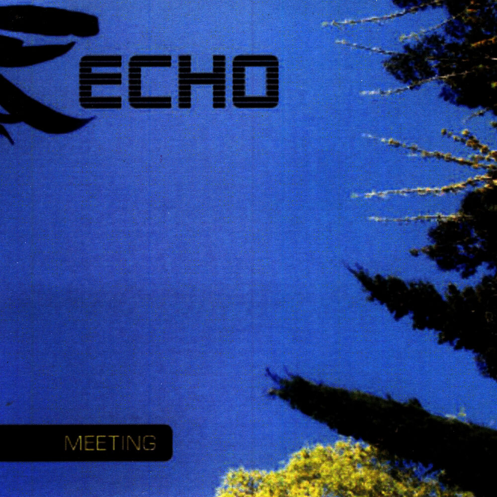 Picture of Meeting