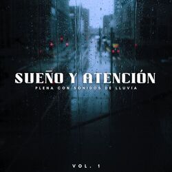 Cover of Sueño Y Atención Plena Con Sonidos De Lluvia Vol. 1