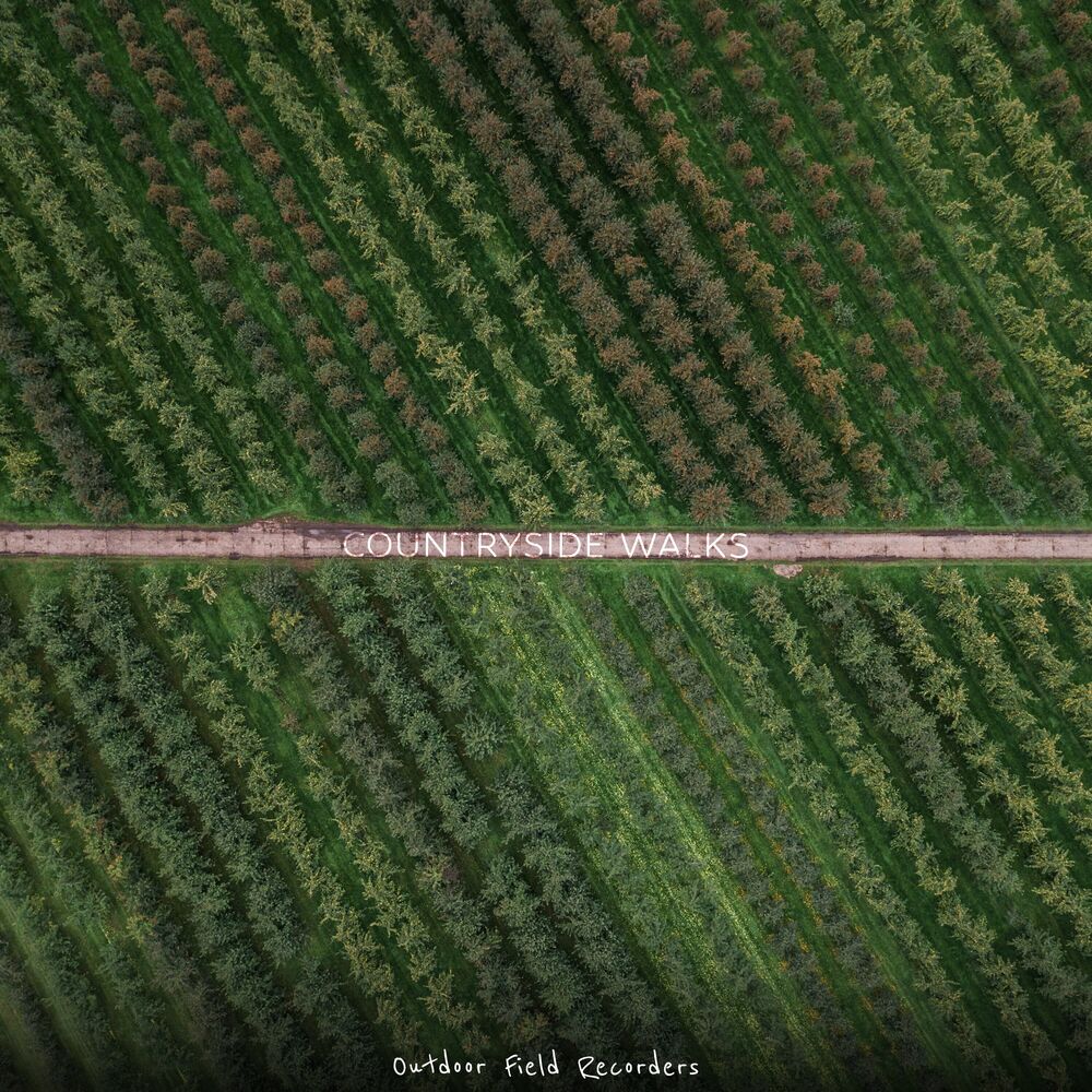 Picture of Countryside Walks