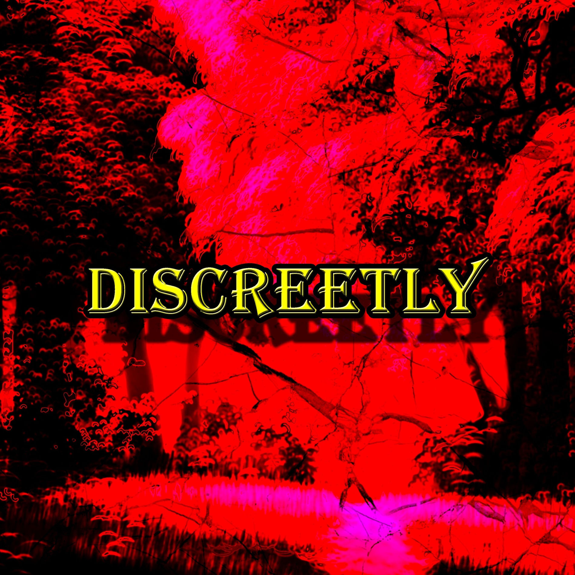 Album cover of Discreetly