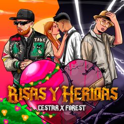 Cover of Risas y Heridas