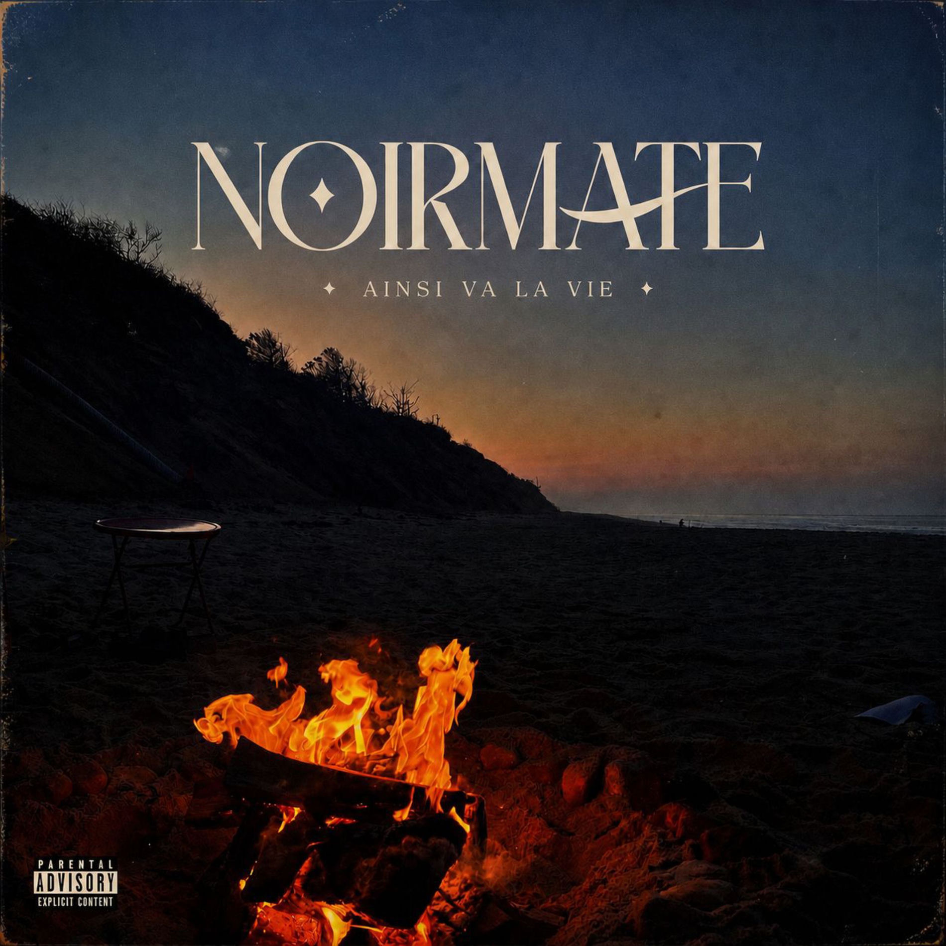 Album cover of Ainsi va la vie