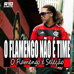 Cover of O Flamengo Não É Time, o Flamengo É Seleção