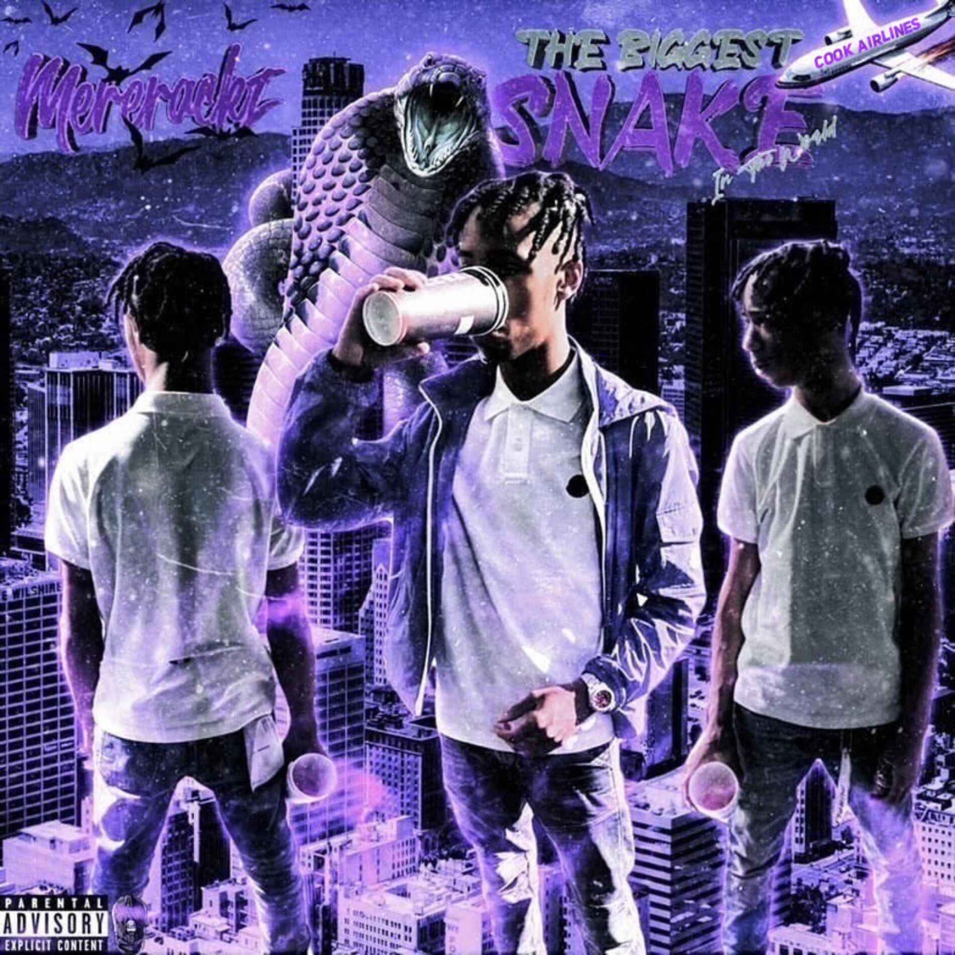 Album cover of THE BIGGEST SNAKE IN THE WORLD