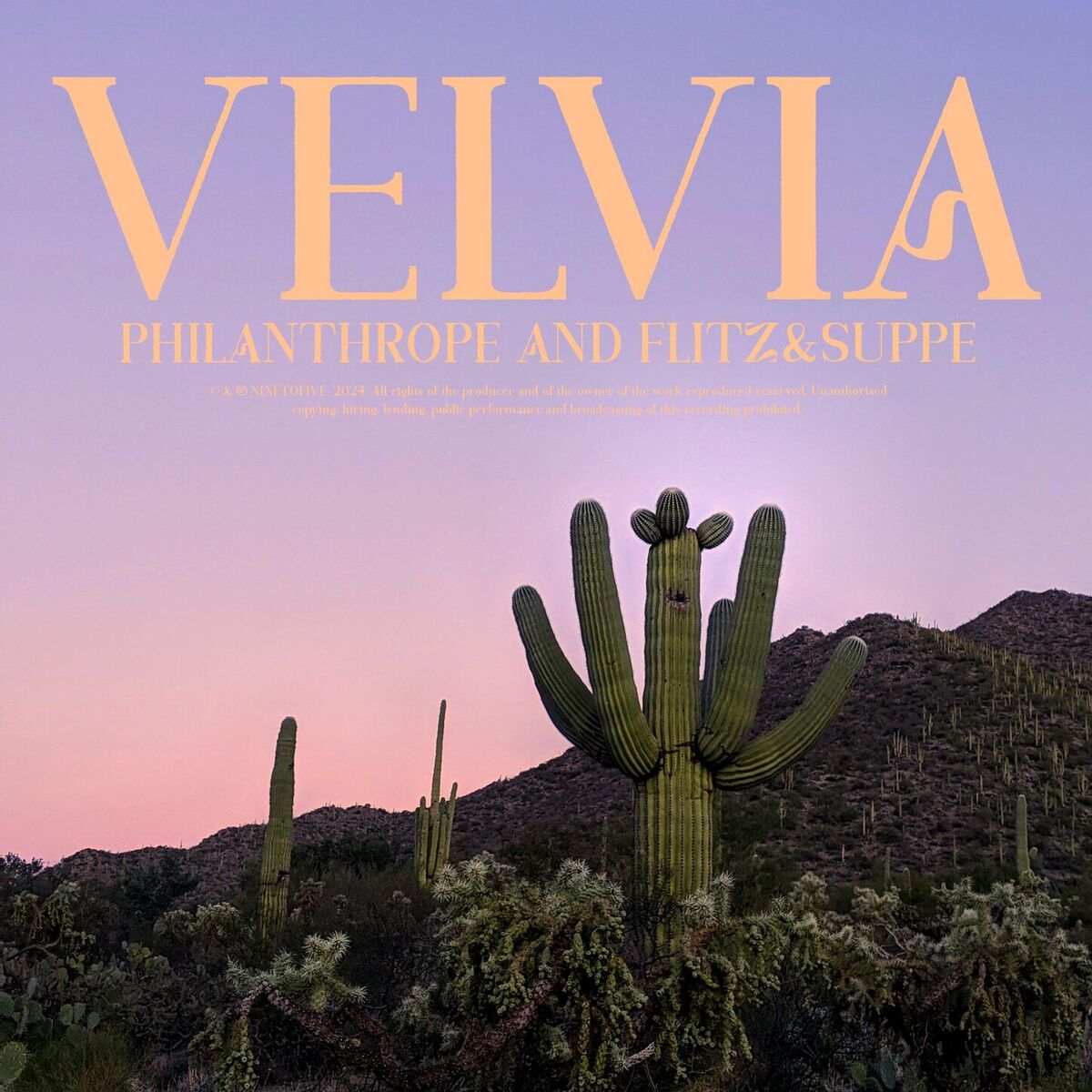 Album cover of Velvia
