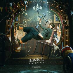 Cover of FAKE CIRCUS
