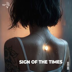 sign of the times (slowed + reverb)