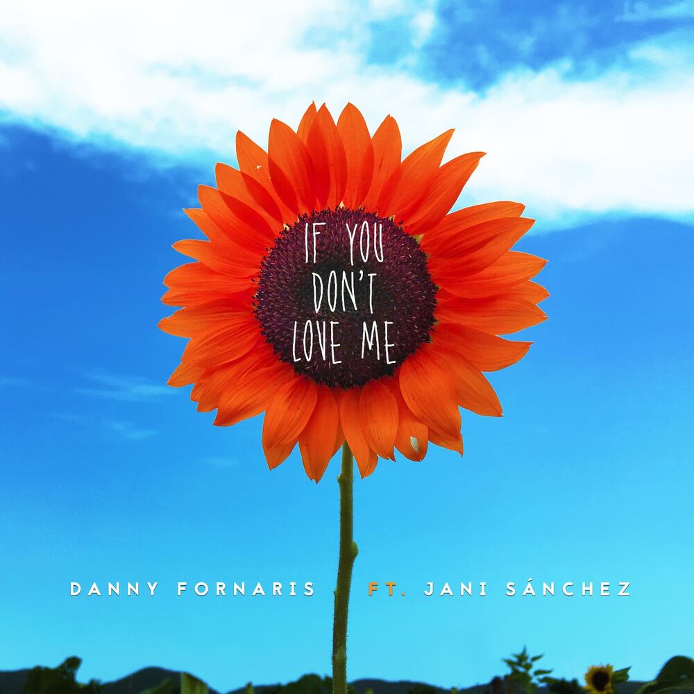 Picture of If You Don't Love Me (feat. Jani Sánchez)
