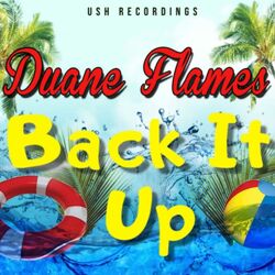 Cover of Back It Up (Radio Edit)