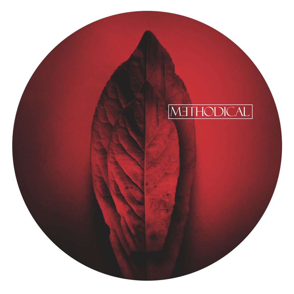 Picture of METHODICAL 0002