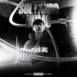 Cover of Soltando Humo