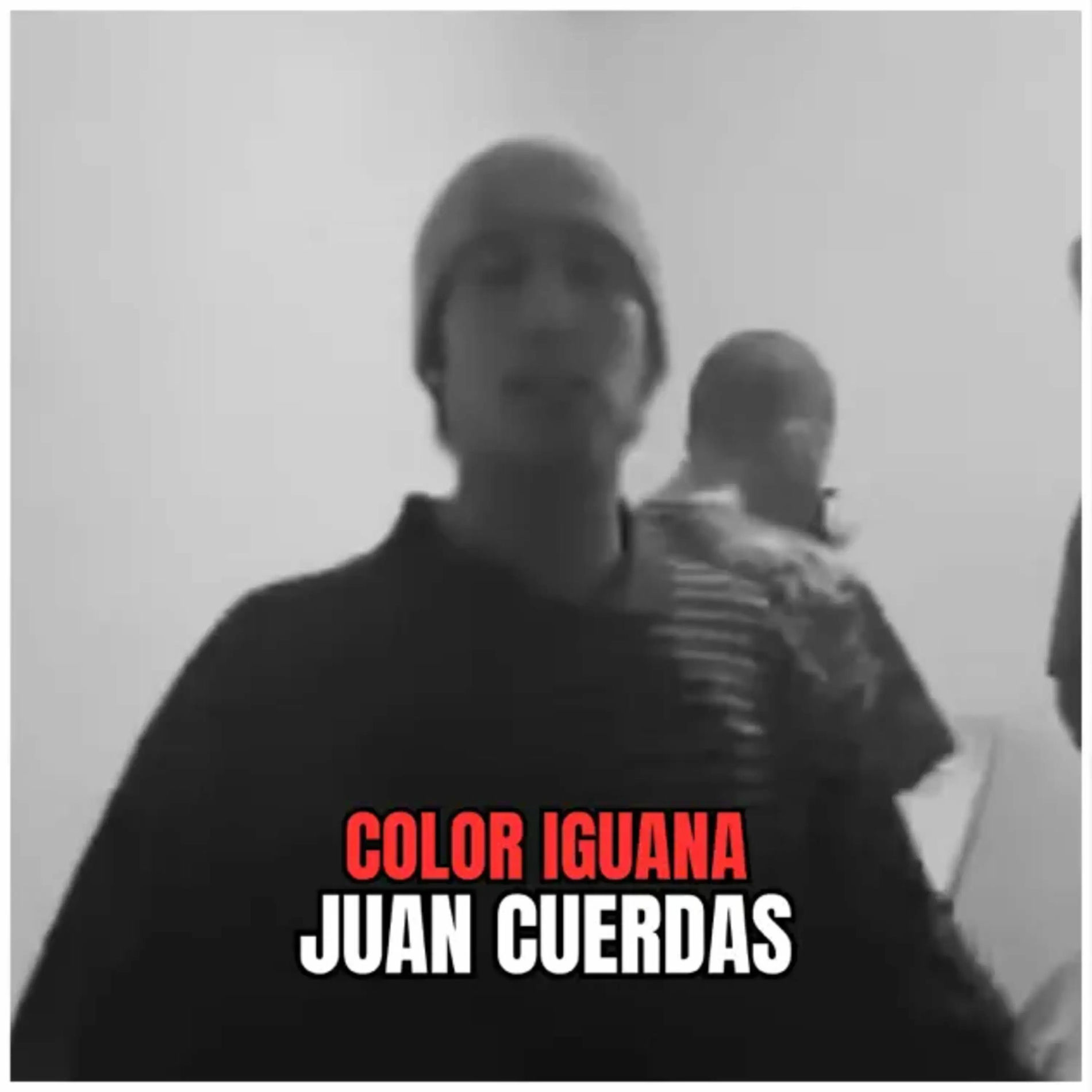 Album cover of Color Iguana - Juan Cuerdas (Union Fatal)