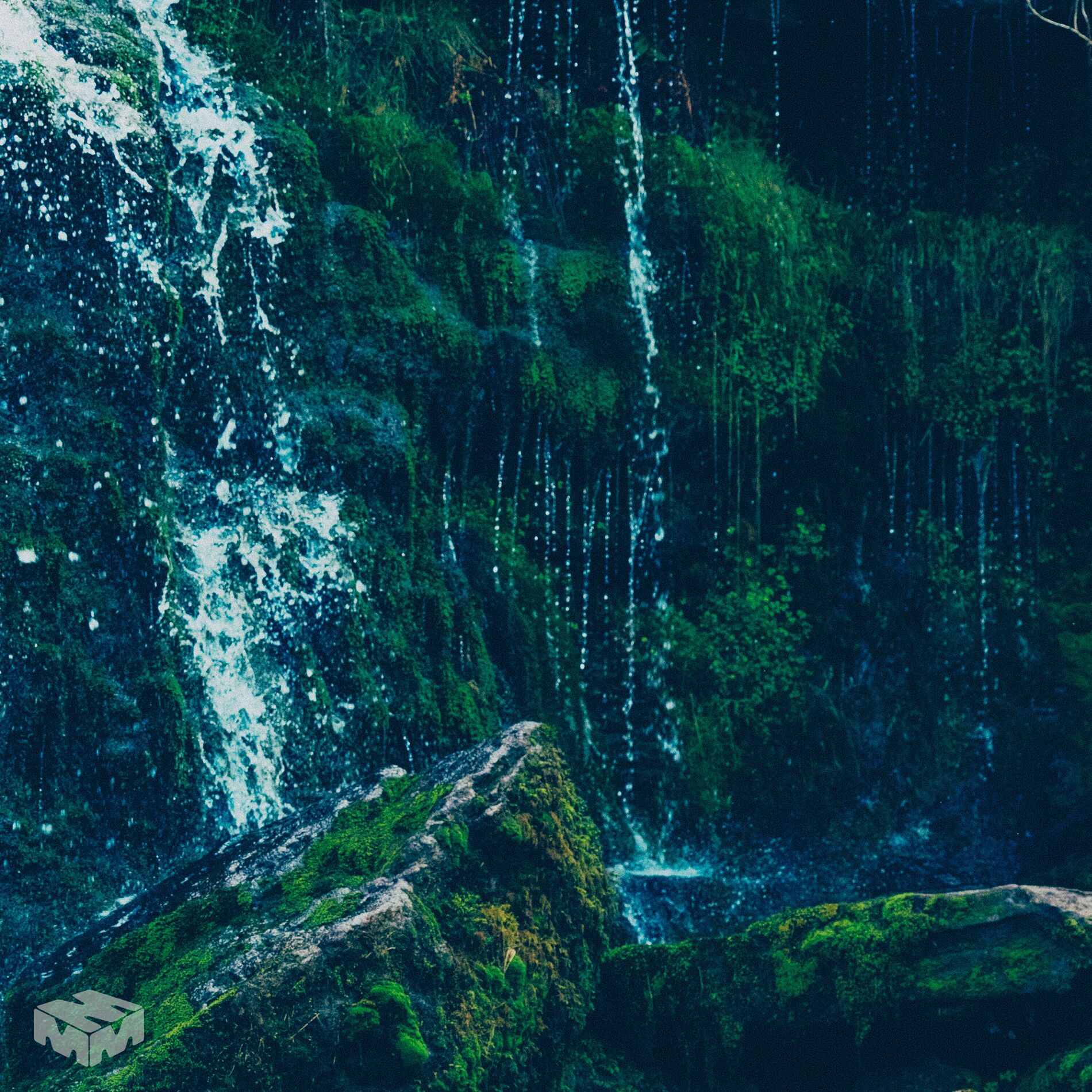 Album cover of Moss