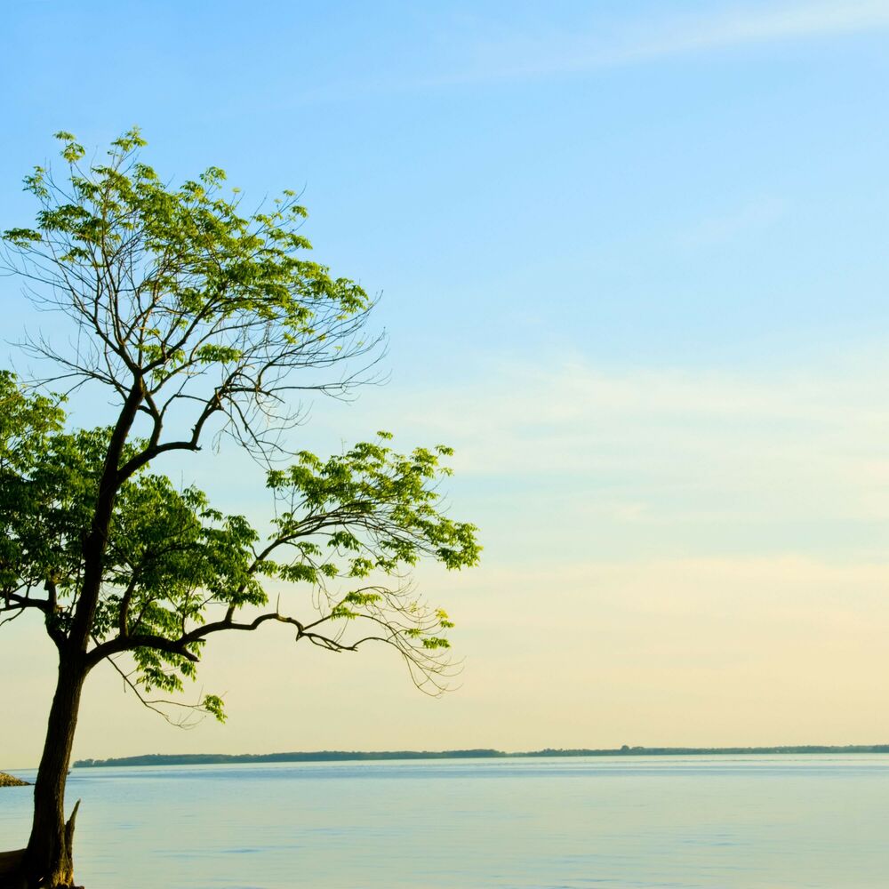 Picture of Waterscape Harmony: A Melodic Flow of Serenity