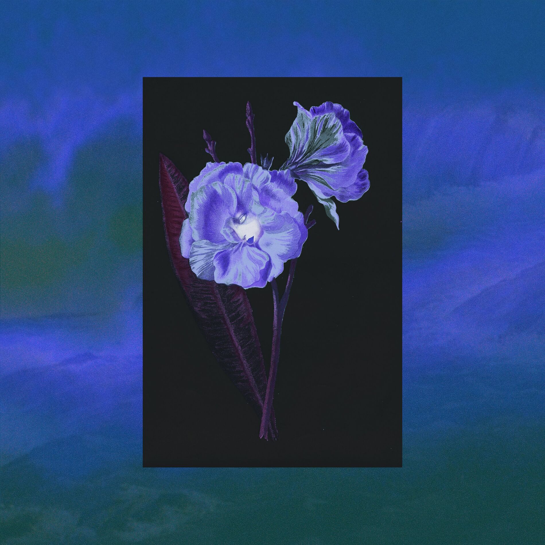 Album cover of The Voice of Flowers