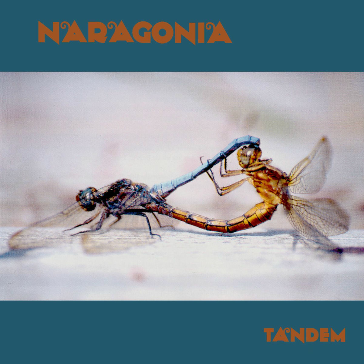 Album cover of Tandem