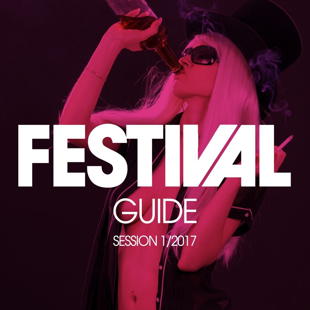 Album cover of Festival Guide Session 1/2017