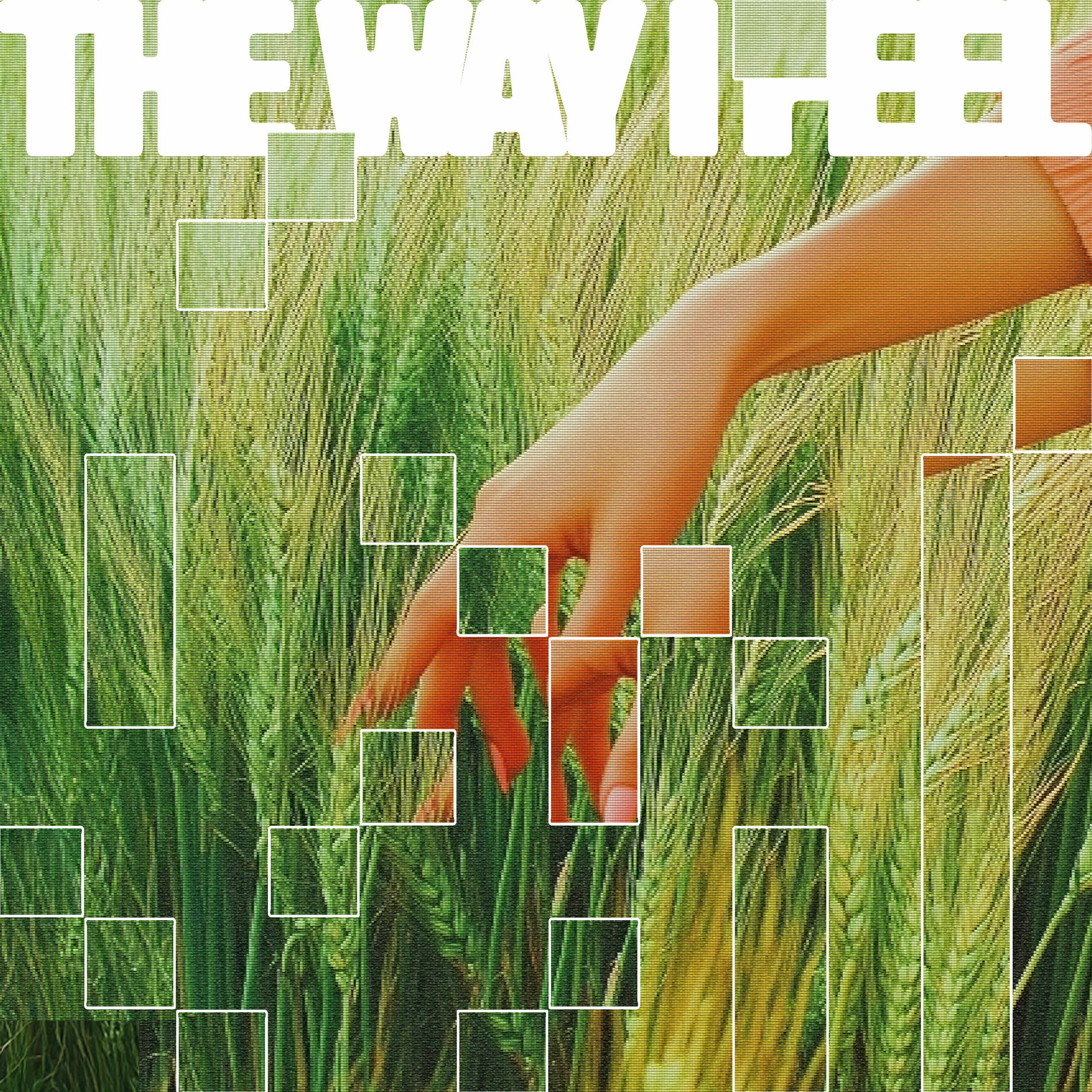 Album cover of The Way I Feel