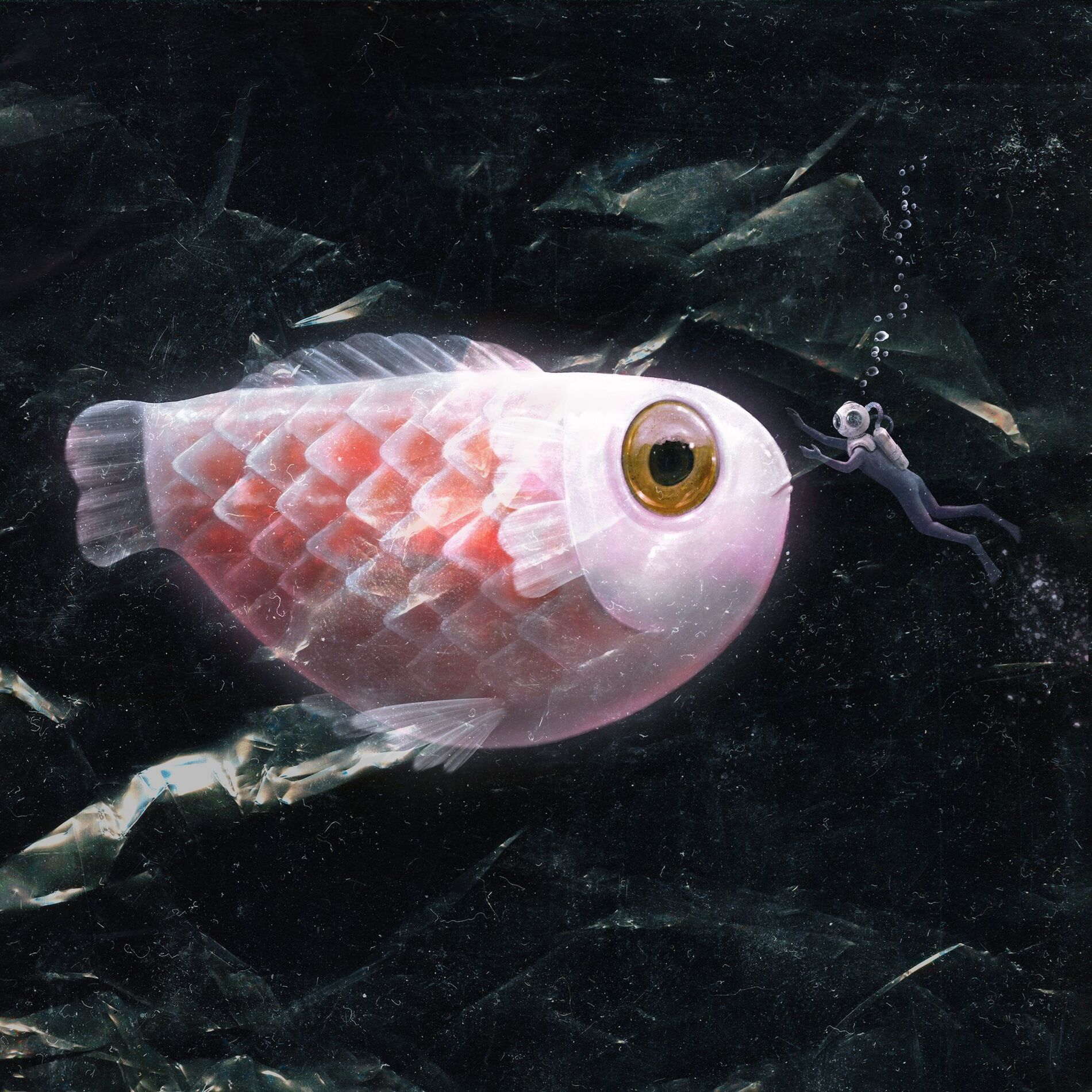 Album cover of nilson