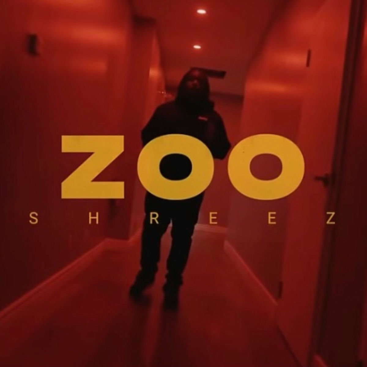Album cover of Zoo