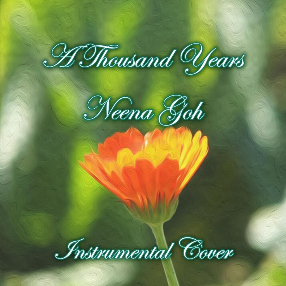 Picture of A Thousand Years (Instrumental Cover)
