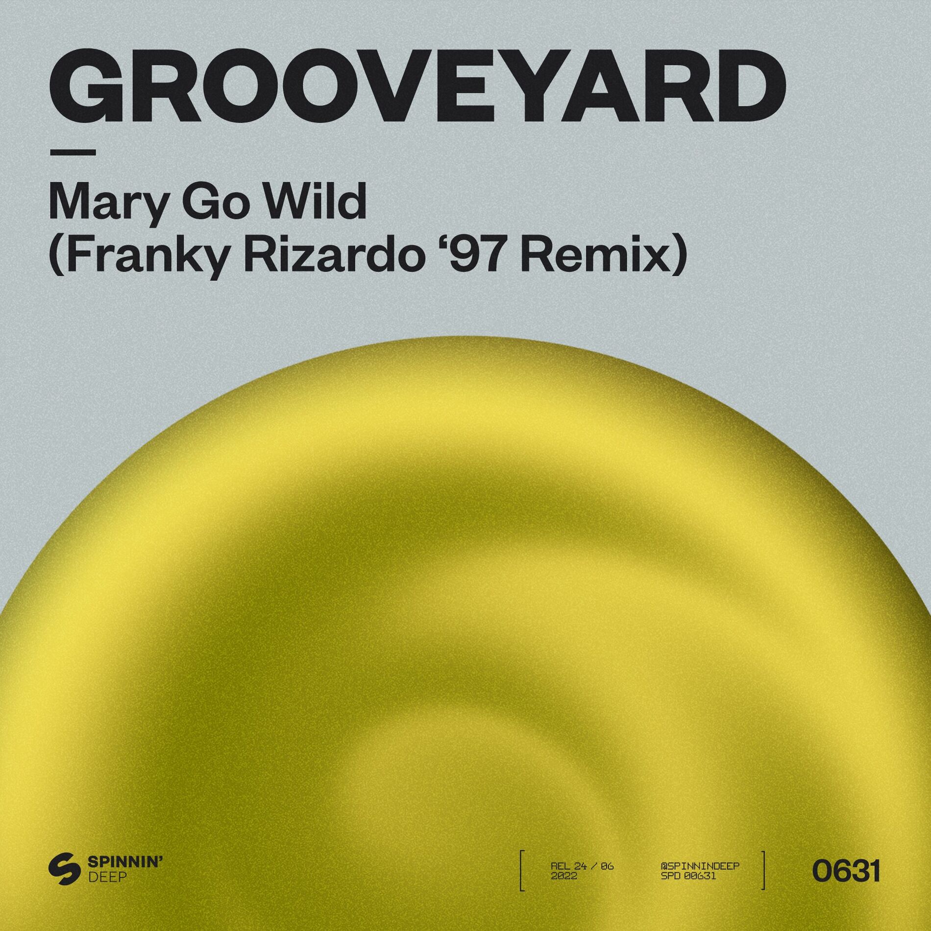Album cover of Mary Go Wild!