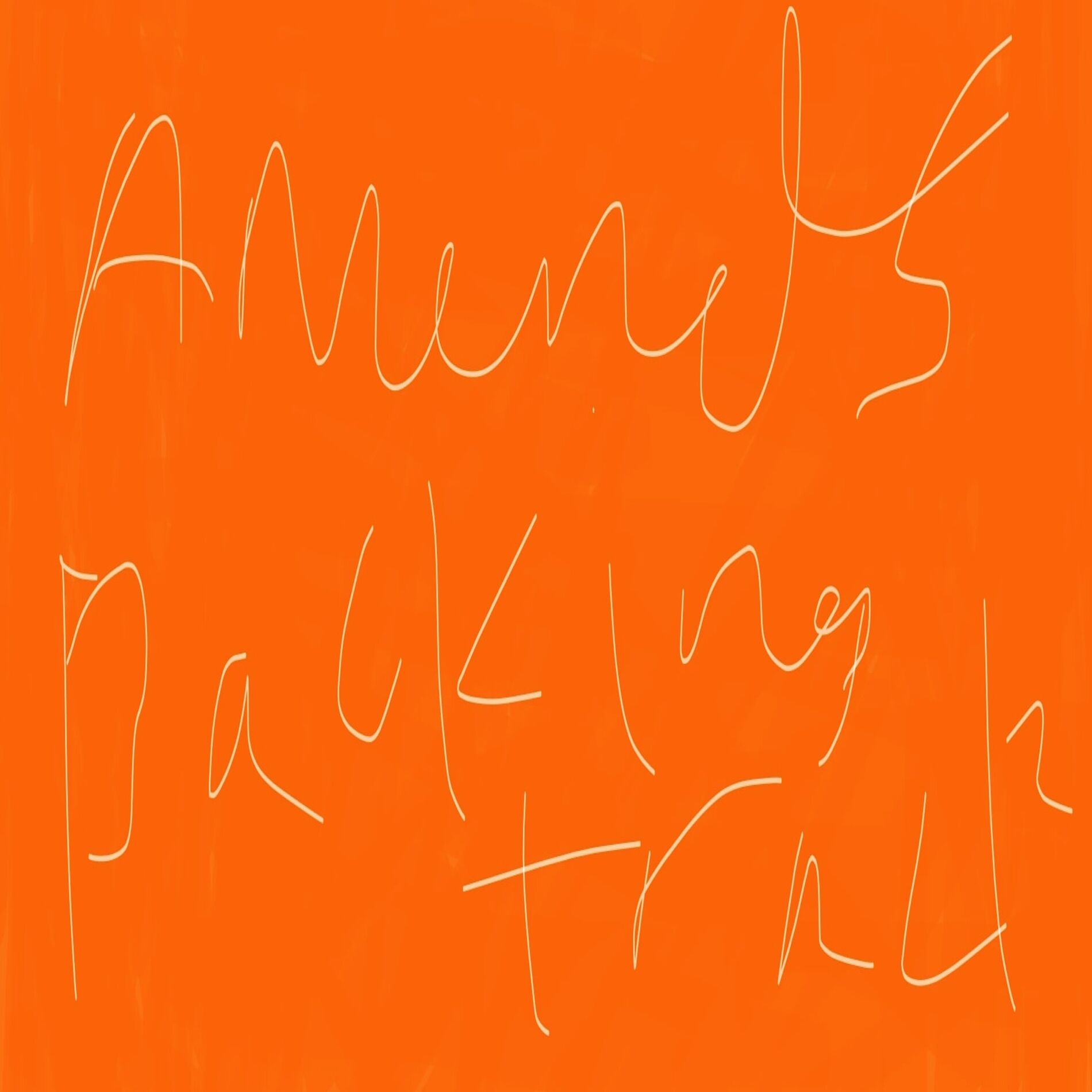 Album cover of Amends (Backing Track)