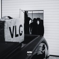 Cover of Photo