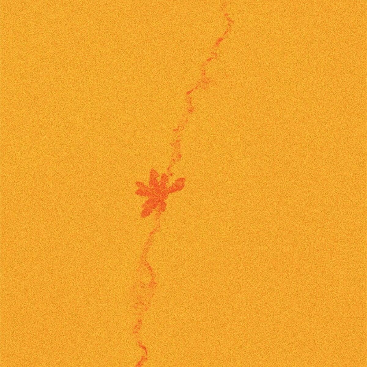 Album cover of rains