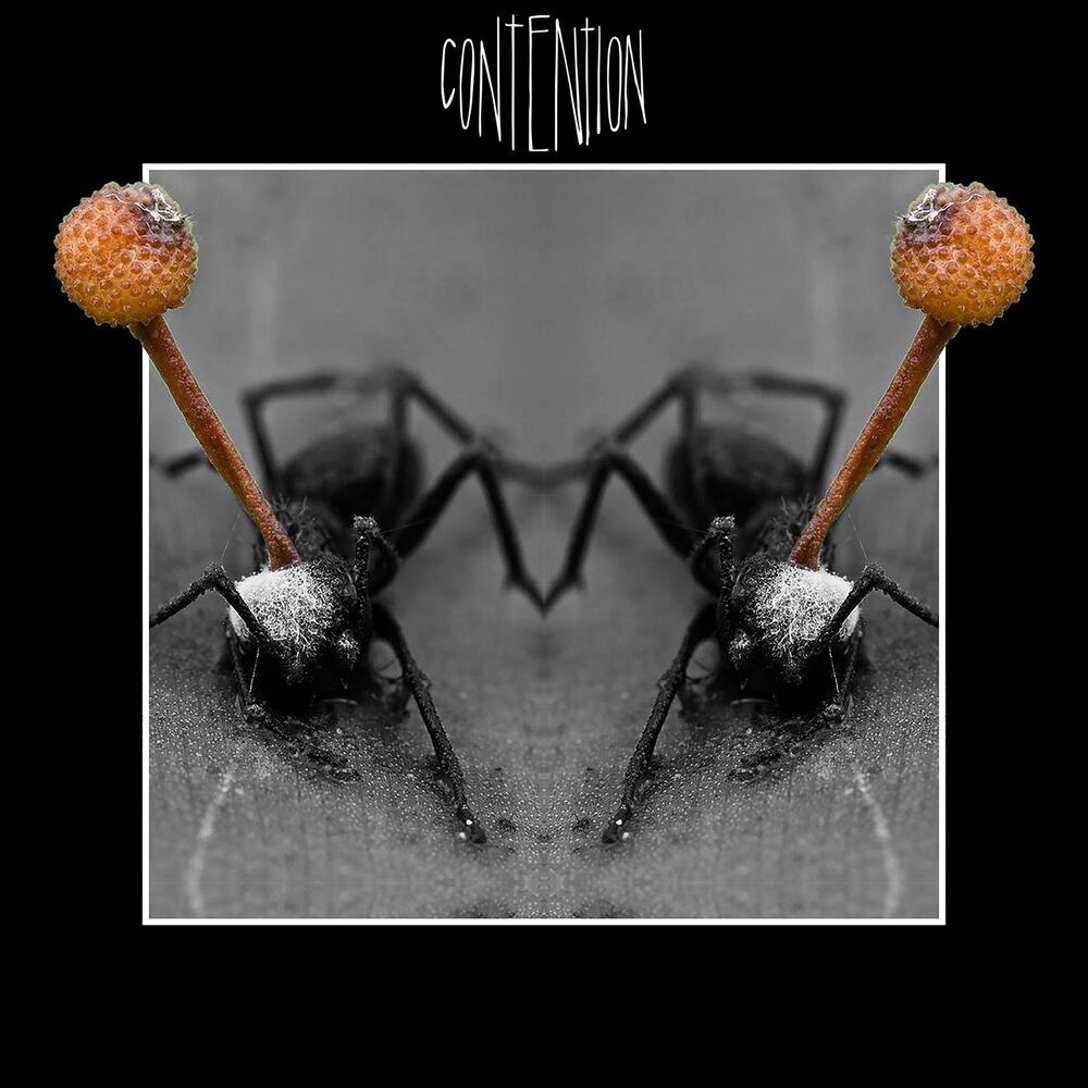 Picture of Contention