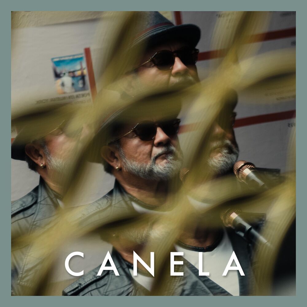 Picture of Canela (Duck Sessions)