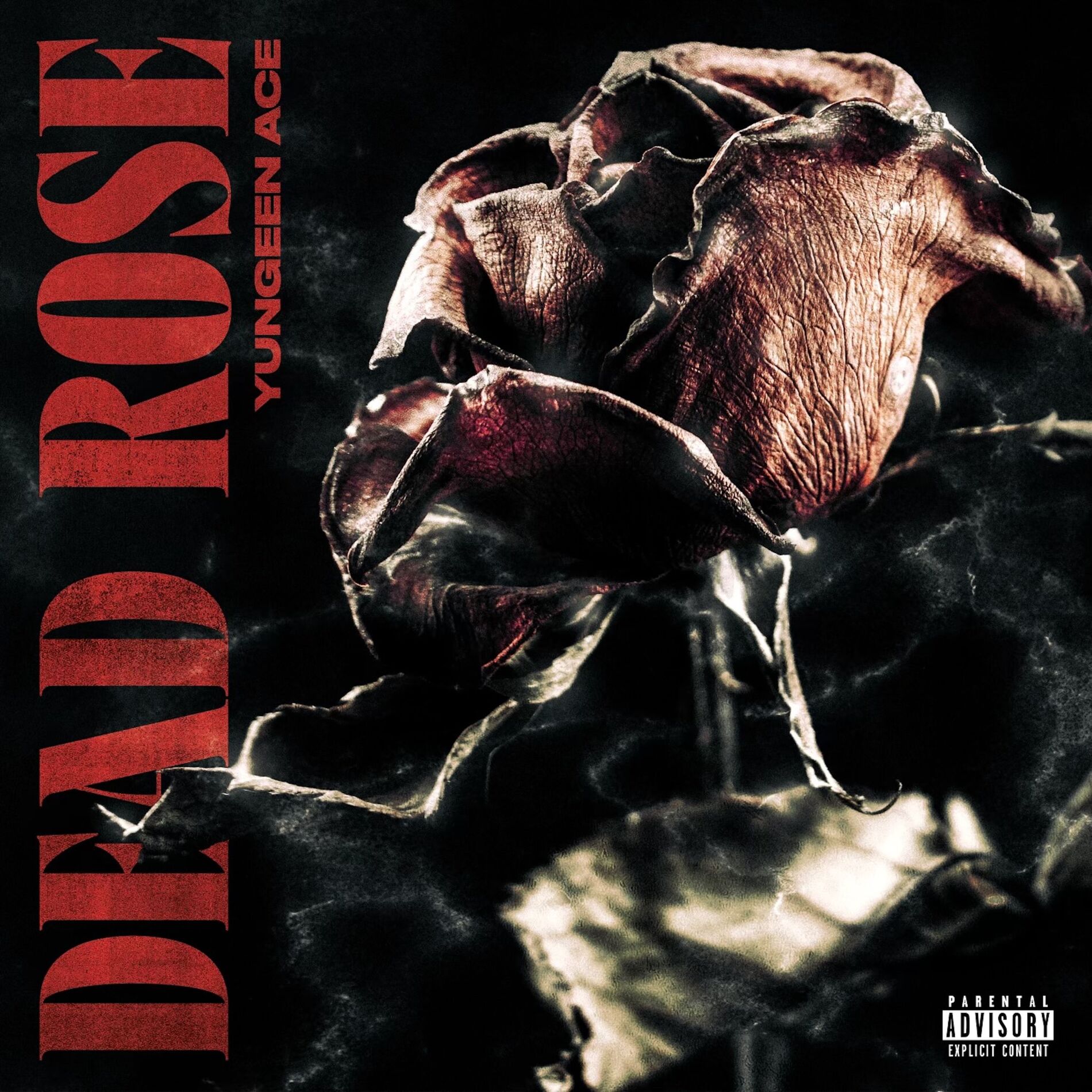 Album cover of Dead Rose