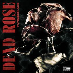 Cover of Dead Rose