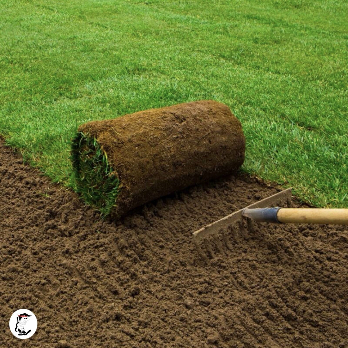 Album cover of Green Side Up
