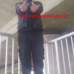 Cover of Mr krabbenkoke diss 3