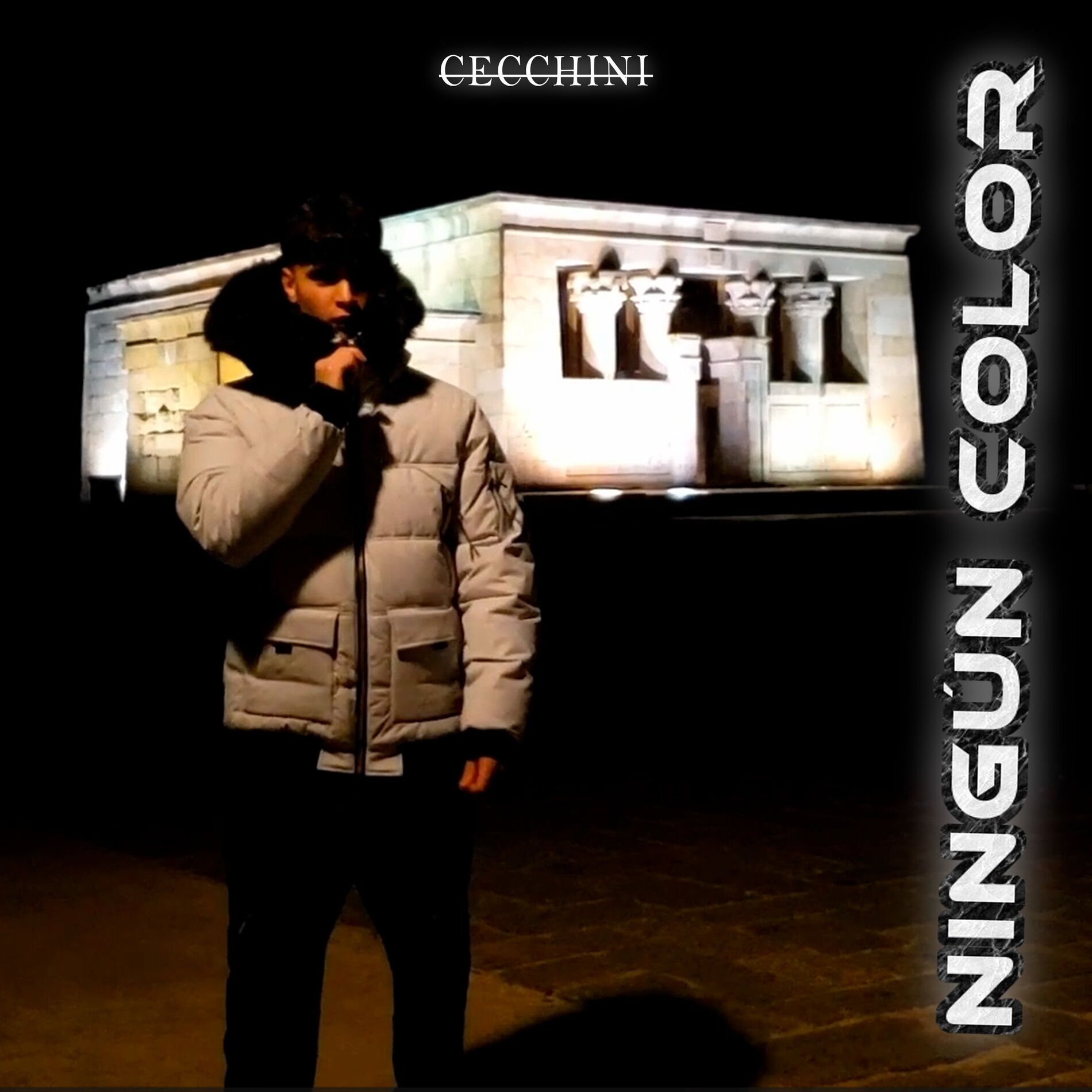 Album cover of Ningún Color