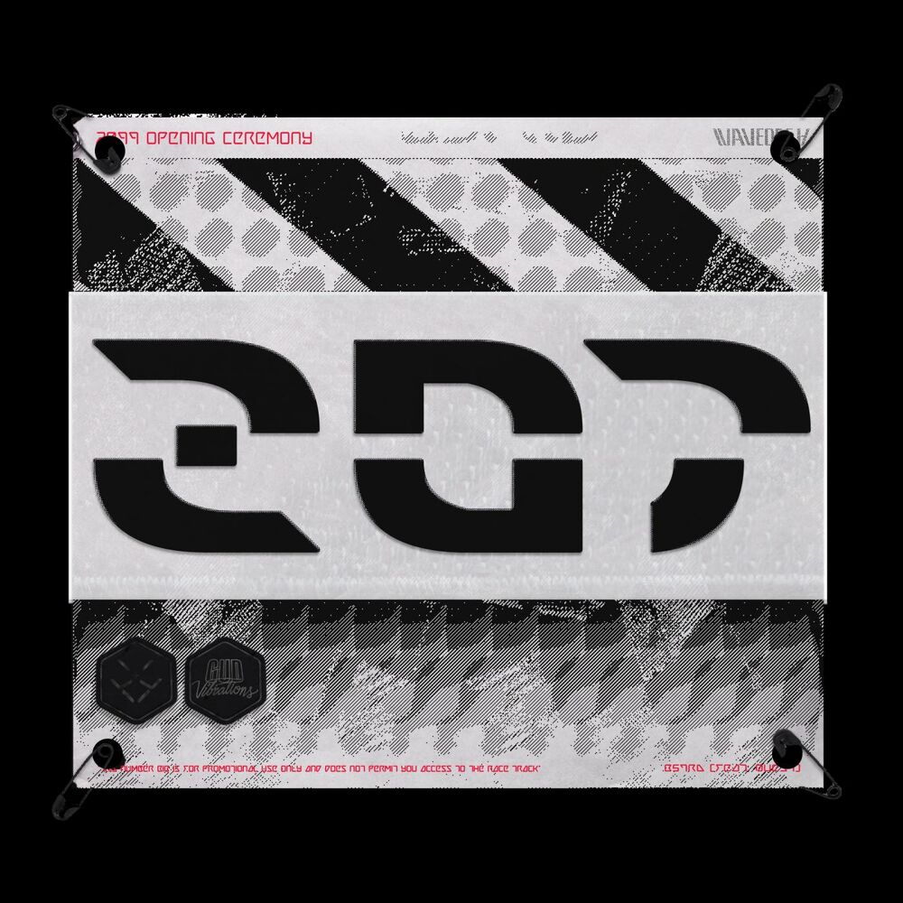 Picture of BSTRD (feat. QUEST)