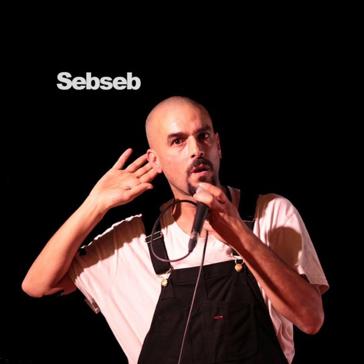 Album cover of Les cases