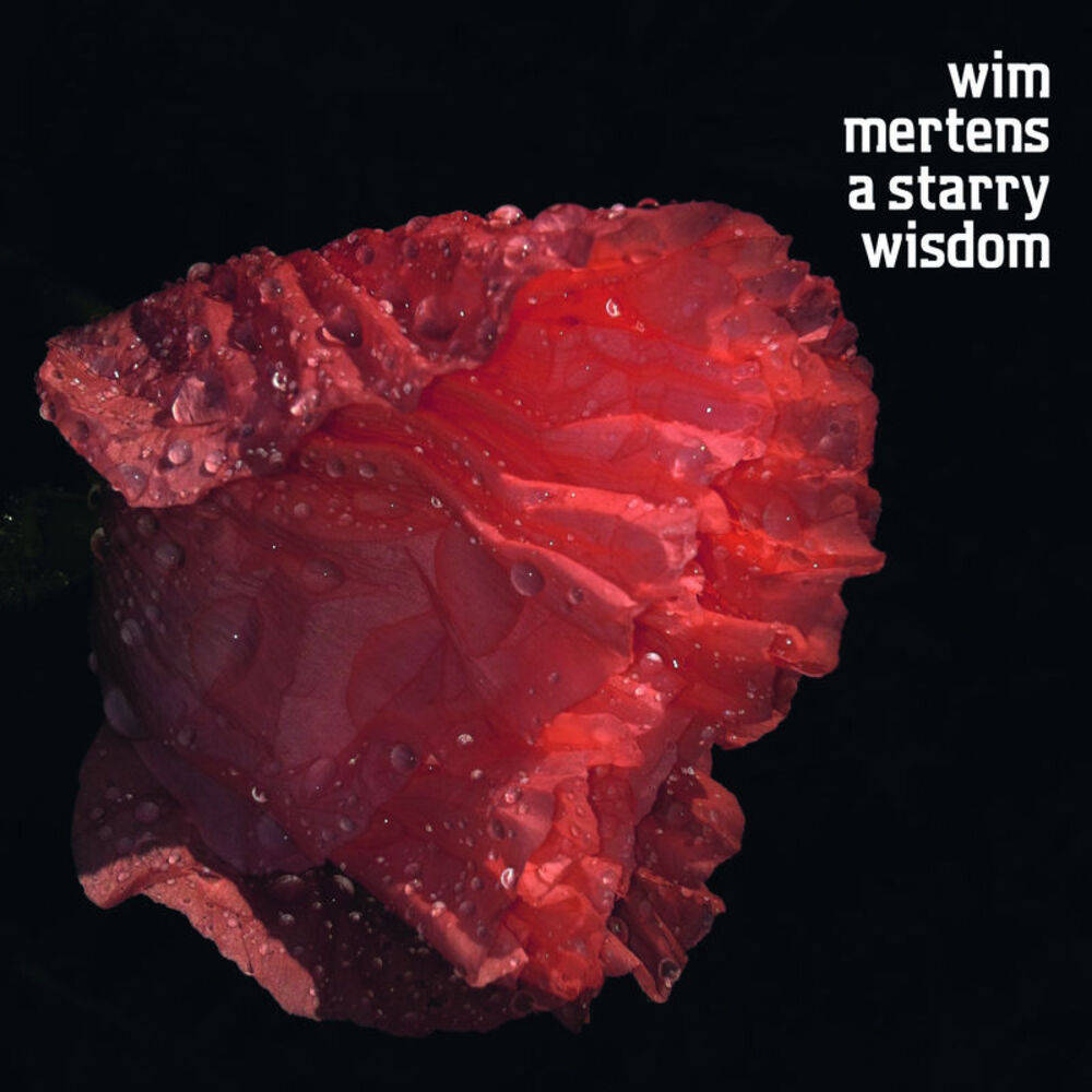 Picture of A Starry Wisdom